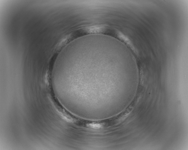 X0000066080161200603101149