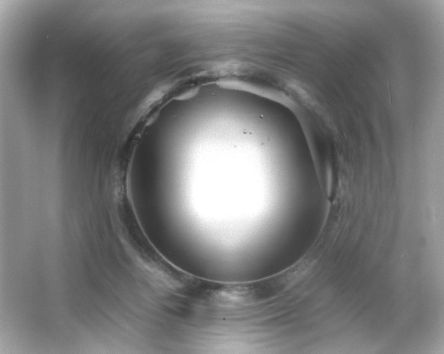 X0000066080164200603101149