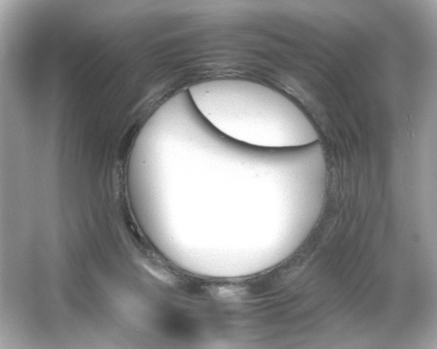 X0000066080165200603101149