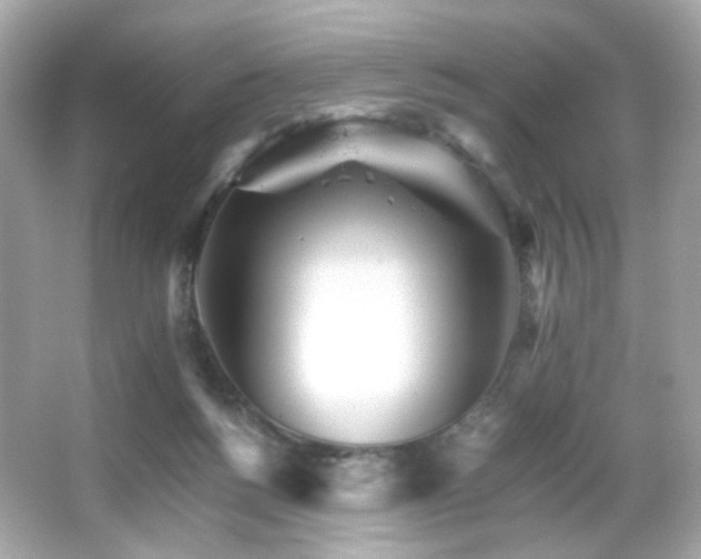 X0000066080168200603101149