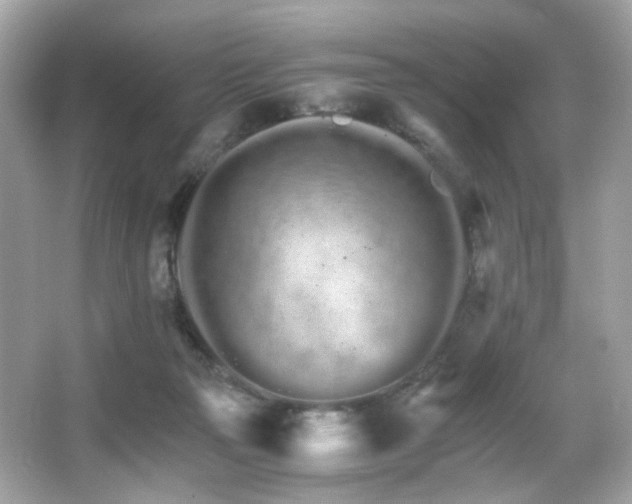 X0000066080169200603101149