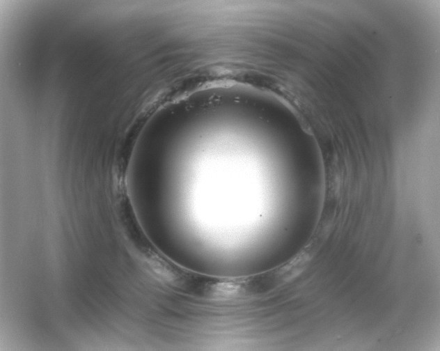 X0000066080176200603101149
