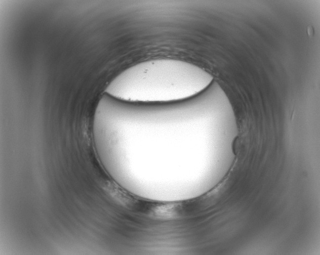 X0000066080178200603101149
