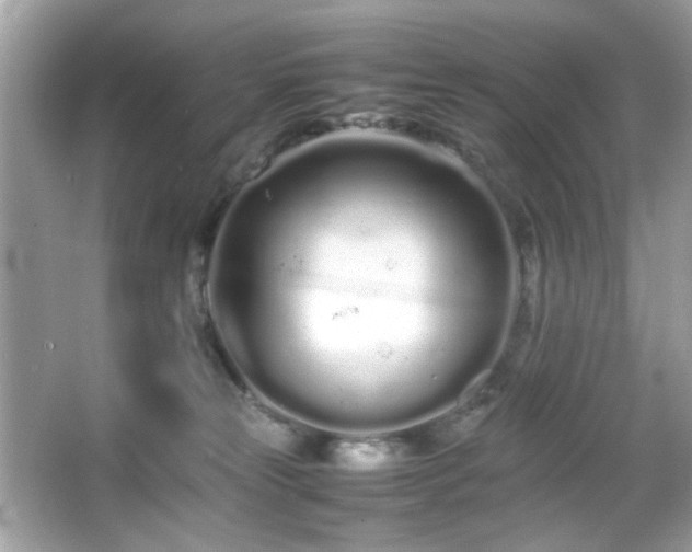 X0000066080181200603101150