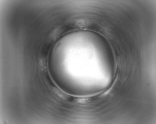 X0000066080182200603101150