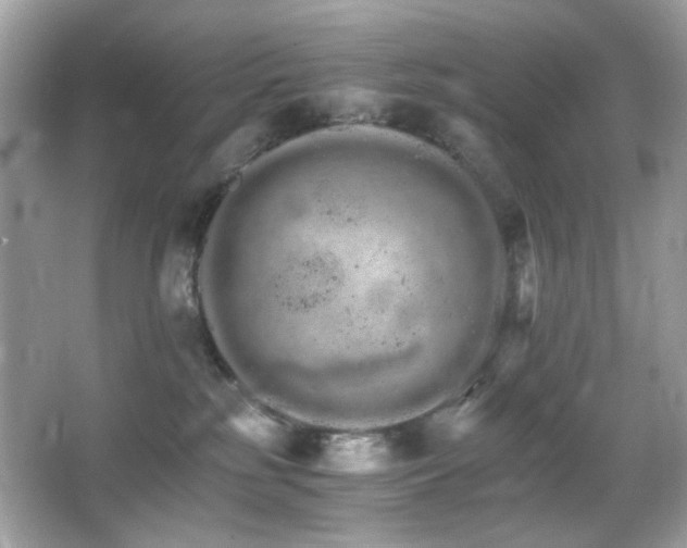 X0000066080185200603101150