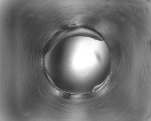 X0000066080192200603101150