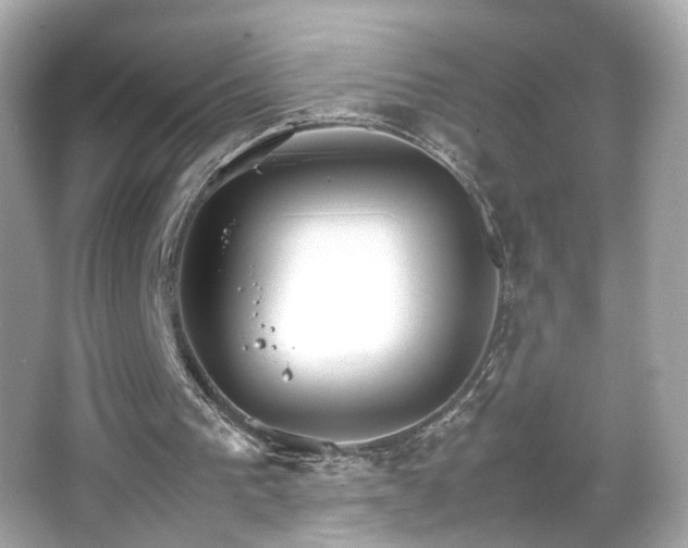 X0000066080193200603101149