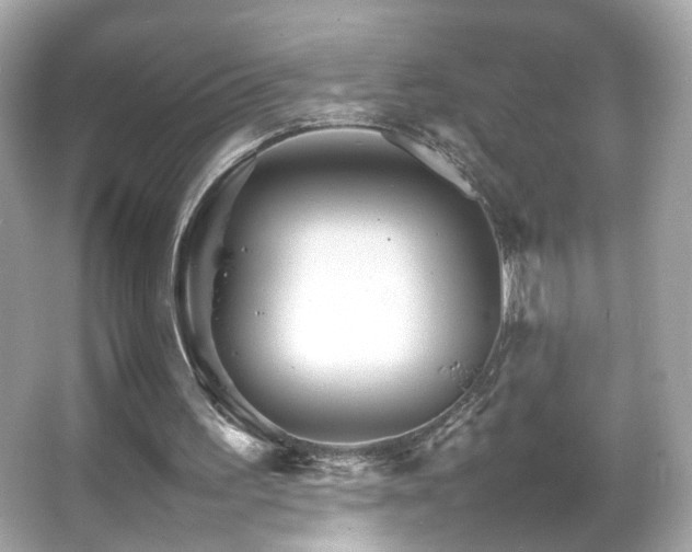 X0000066080195200603101149
