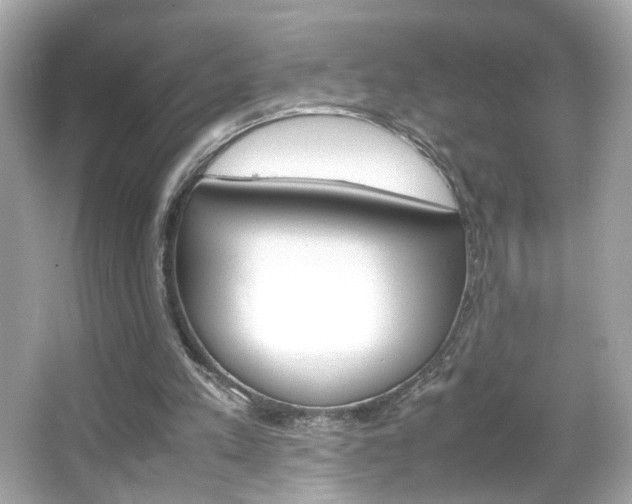 X0000066080197200603101149