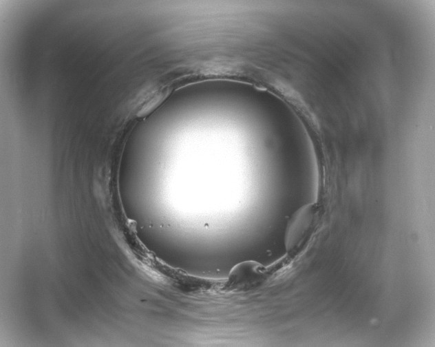 X0000066080201200603101149