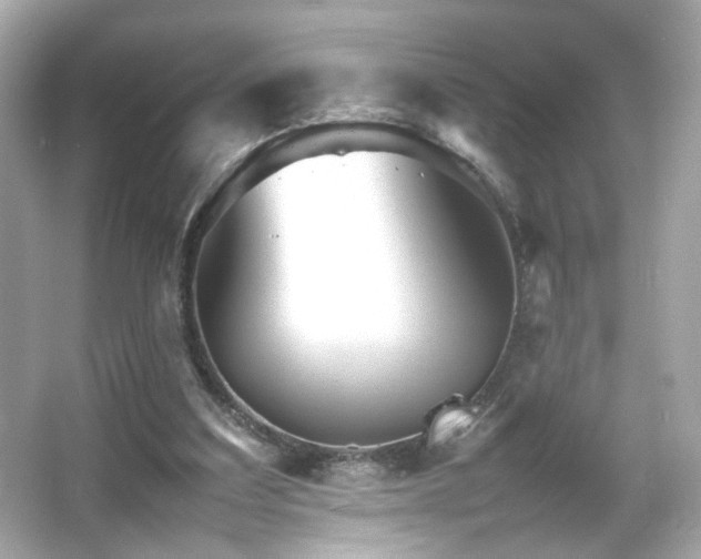 X0000066080203200603101149