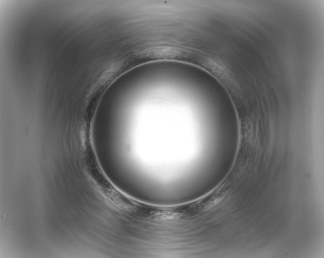 X0000066080206200603101149