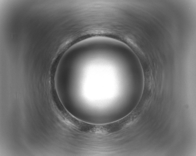 X0000066080207200603101149