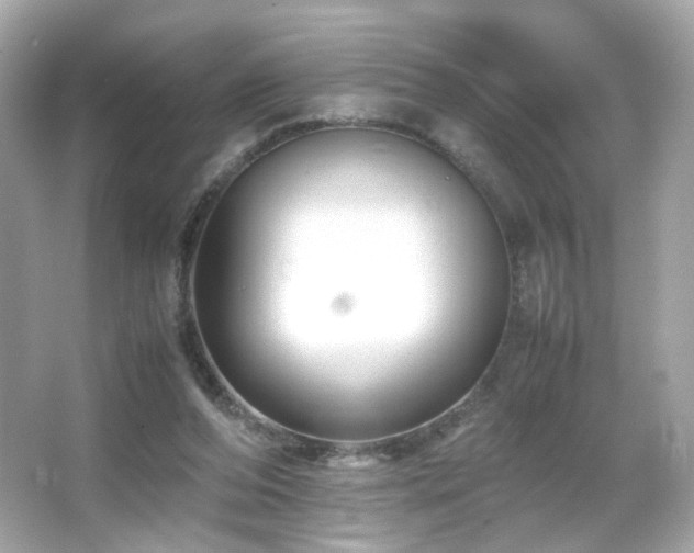 X0000066080208200603101149