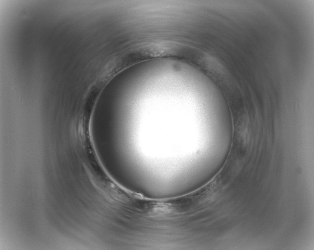 X0000066080214200603101149