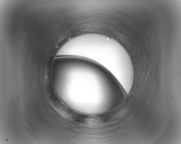 X0000066080215200603101149