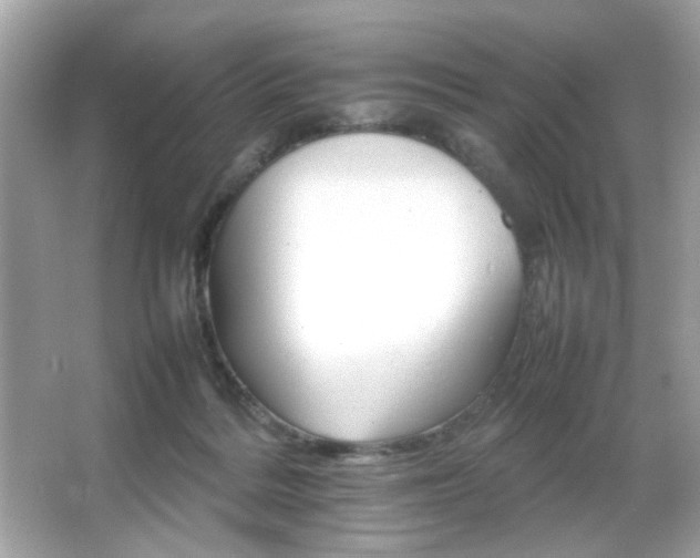 X0000066080220200603101148