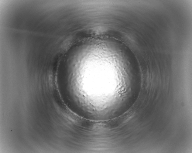 X0000066080222200603101148