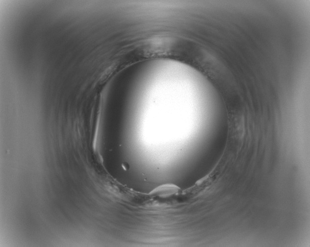 X0000066080224200603101148