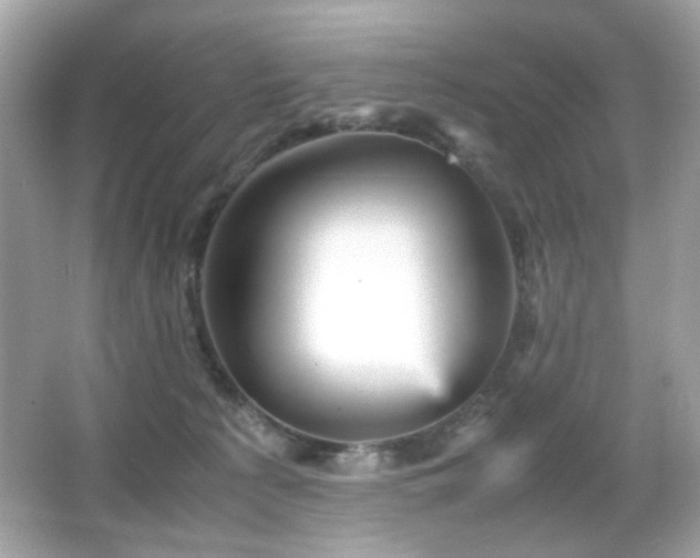 X0000066080225200603101148