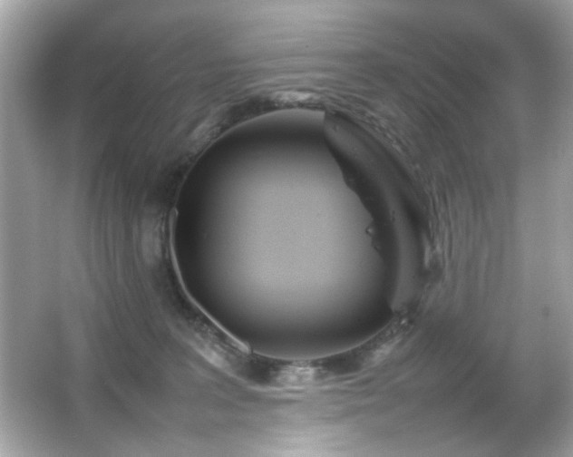 X0000066080227200603101148