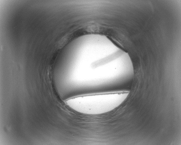 X0000066080233200603101148