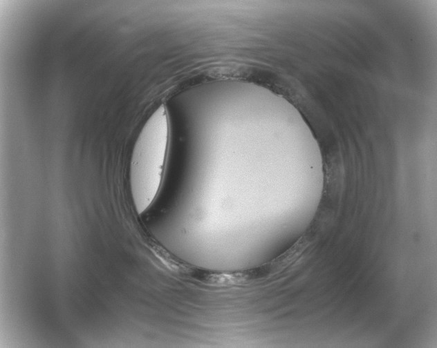 X0000066080239200603101148