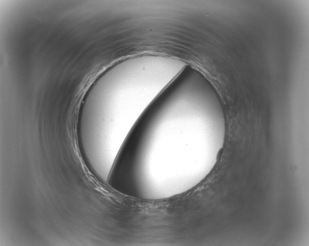X0000066080241200603101147