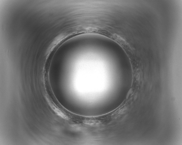 X0000066080242200603101147