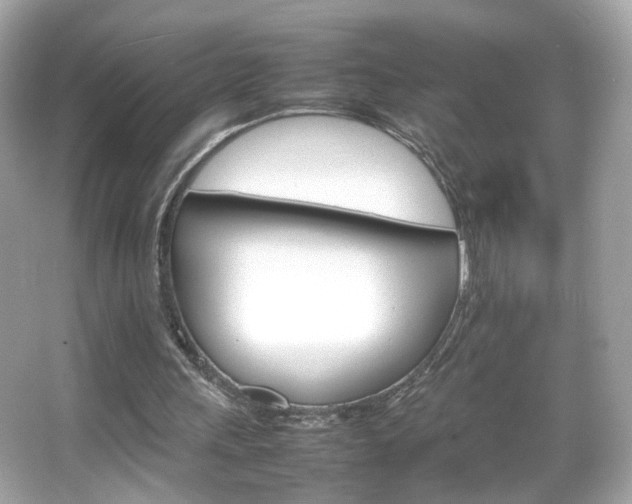 X0000066080243200603101147