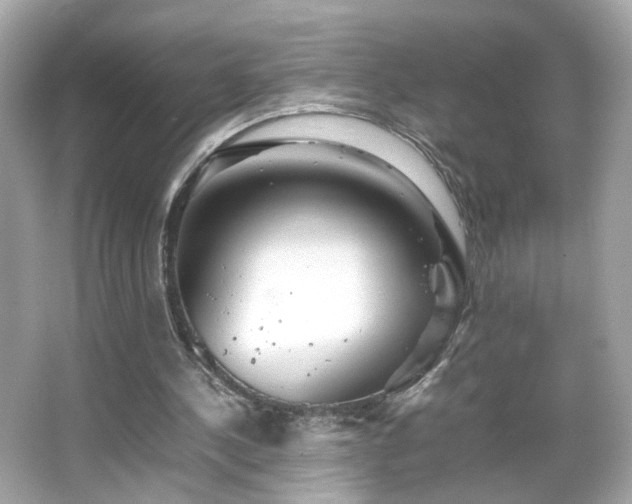 X0000066080244200603101147