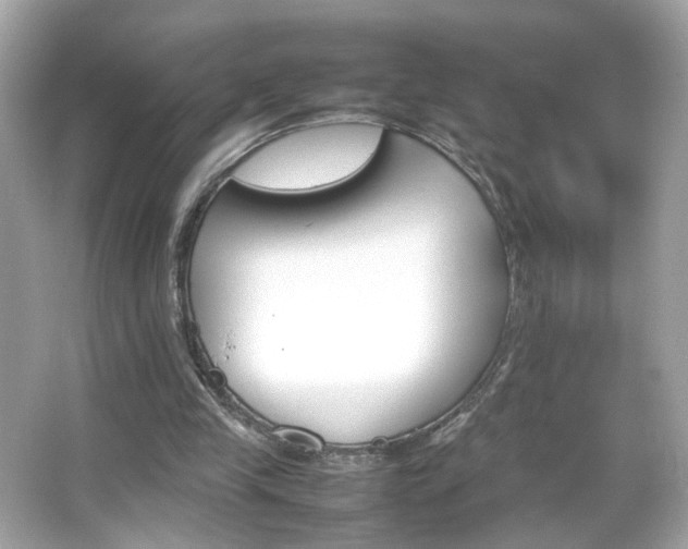 X0000066080245200603101147