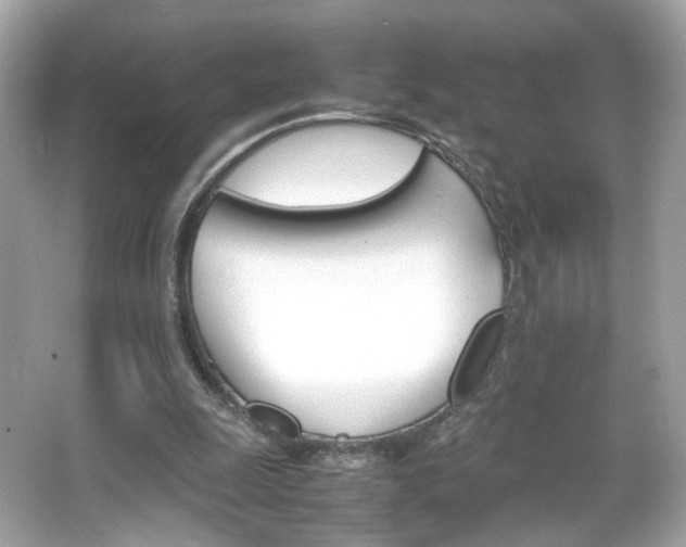 X0000066080247200603101147