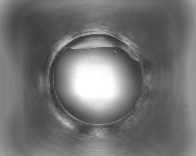 X0000066080248200603101147