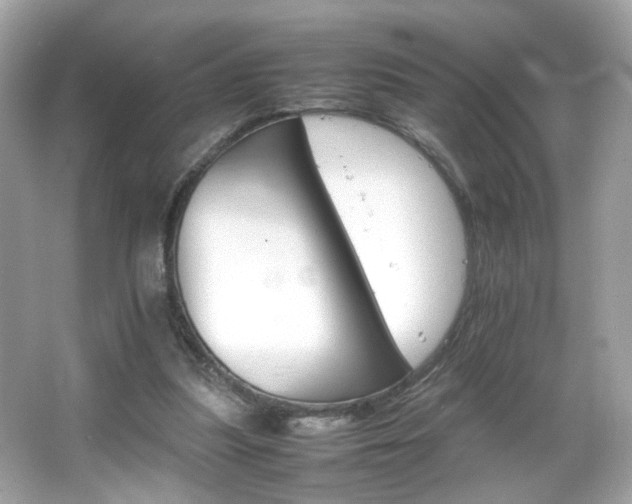 X0000066080251200603101147
