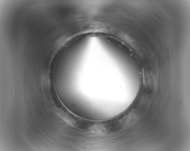 X0000066080252200603101147