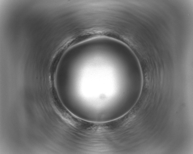X0000066080254200603101148