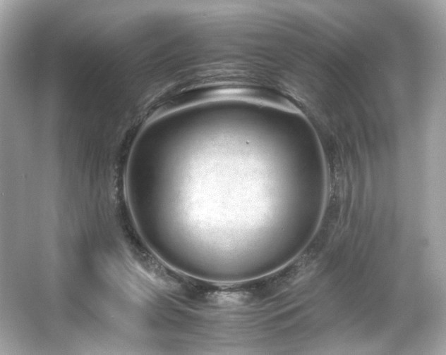 X0000066080255200603101148