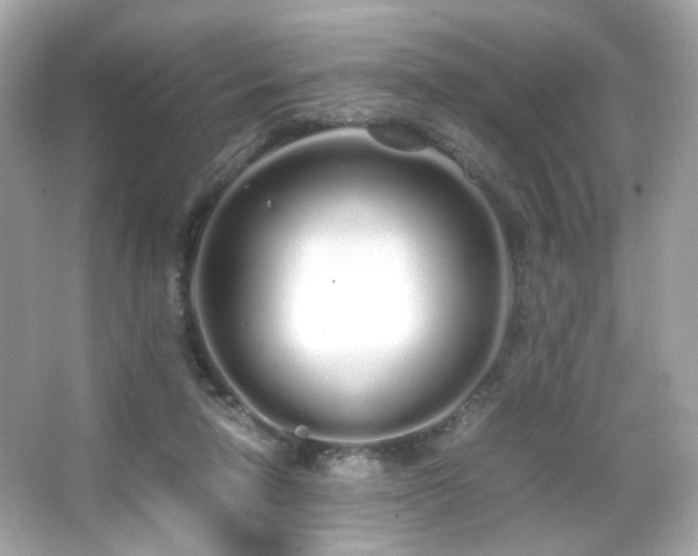 X0000066080258200603101148