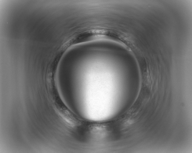 X0000066080263200603101148