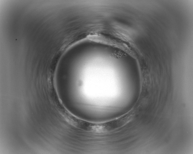 X0000066080265200603101148