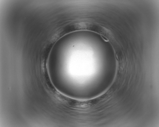 X0000066080267200603101148