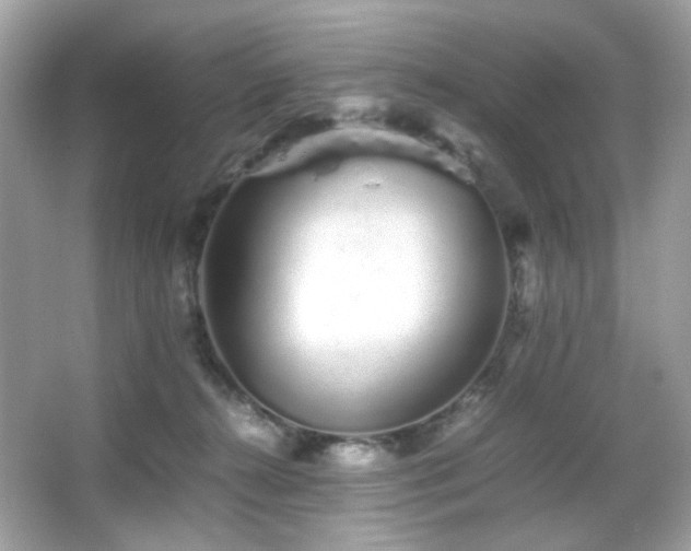 X0000066080272200603101148