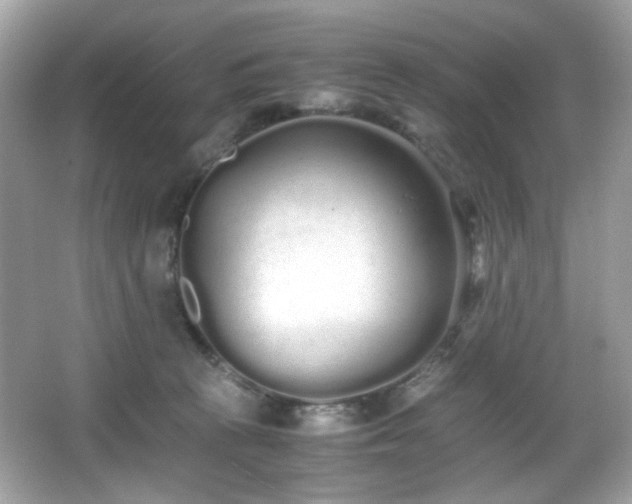 X0000066080273200603101148