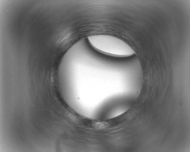X0000066080277200603101148