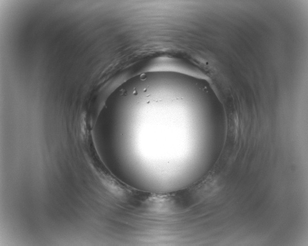 X0000066080280200603101148