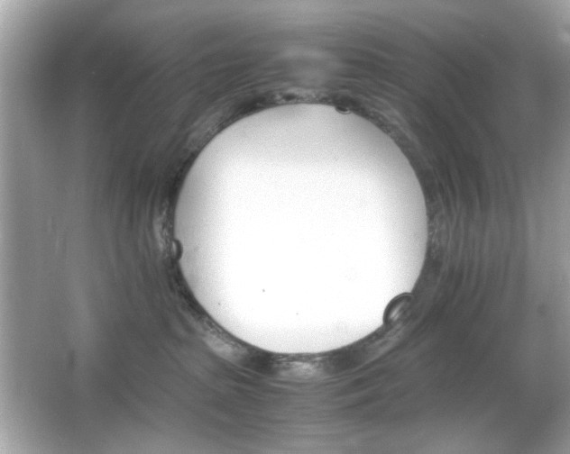 X0000066080285200603101148