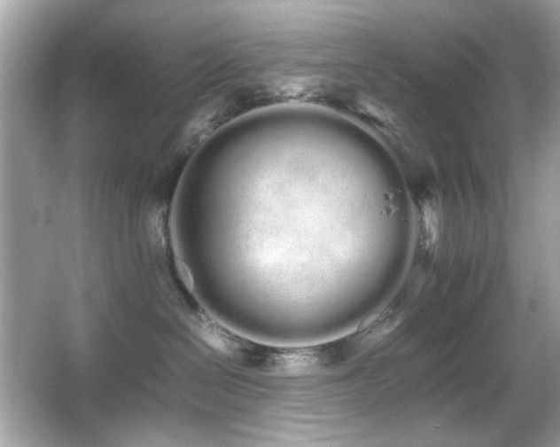 X0000066080286200603101148