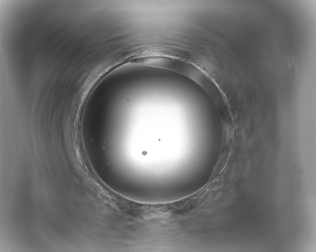 X0000066080289200603101147